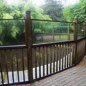 Common Hippo Pool at La Flèche, 11/06/18