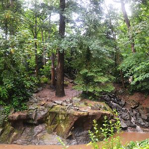 Kamchatkan Bear Enclosure at La Flèche, 11/06/18