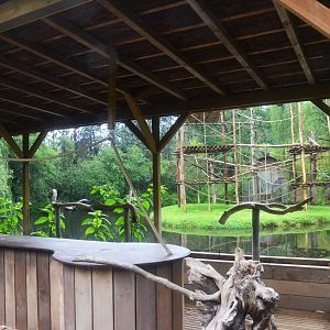Spider Monkey Enclosure and Parrot Show Stage at La Flèche, 11/06/18
