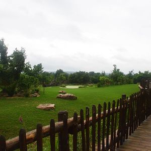 Indian Rhino, Nilgai and Blackbuck Paddock at La Flèche, 11/06/18
