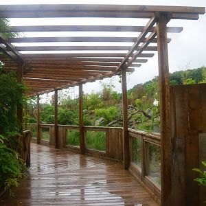 Smooth-coated Otter Enclosure at La Flèche, 11/06/18