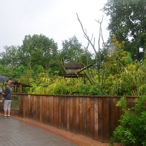 Red Panda Enclosure at La Flèche, 11/06/18