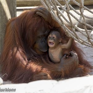 No quiet time for mom