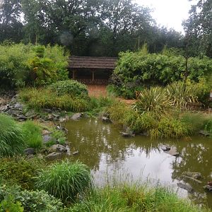 Lemur Walkthrough at La Flèche, 11/06/18