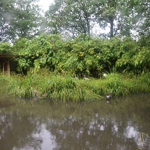 Lemur Walkthrough at La Flèche, 11/06/18