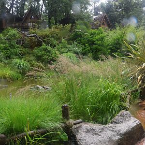 Lemur Walkthrough at La Flèche, 11/06/18