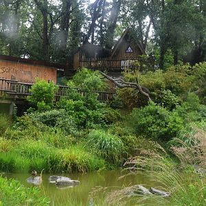 Lemur Walkthrough at La Flèche, 11/06/18