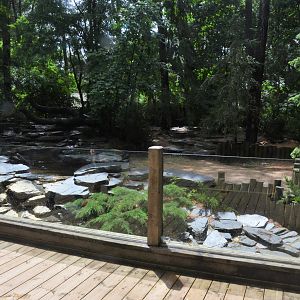 Arctic Wolf Enclosure at La Flèche, 11/06/18