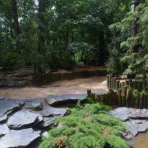 Arctic Wolf Enclosure at La Flèche, 11/06/18
