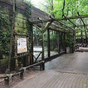 Polar Bear Viewing at La Flèche, 11/06/18