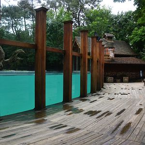 Polar Bear Viewing at La Flèche, 11/06/18