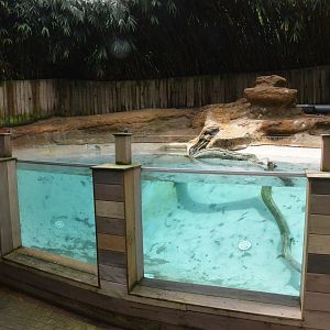 Short-clawed Otter Enclosure at La Flèche, 11/06/18
