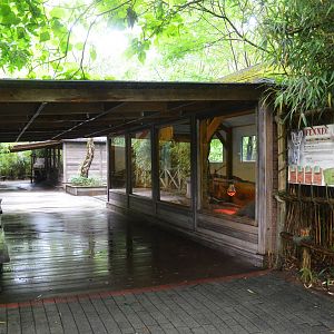 Fennec Fox and Meerkat Enclosures at La Flèche, 11/06/18