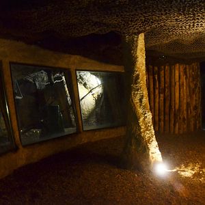 Egyptian Fruit Bat Enclosure at La Flèche, 11/06/18