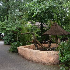 Military Macaw Enclosure at La Flèche, 11/06/18