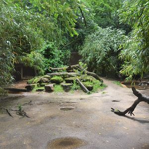 Maned Wolf Enclosure at La Flèche, 11/06/18