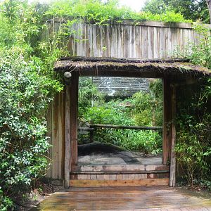 Ocelot Enclosure at La Flèche, 11/06/18