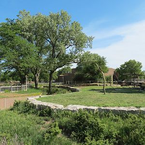 African Veldt - Reticulated Giraffe Exhibit