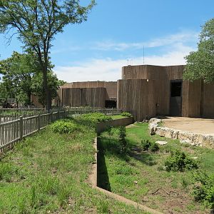 African Veldt - Reticulated Giraffe Exhibit