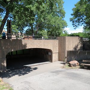 African Veldt - Hippopotamus Exhibit