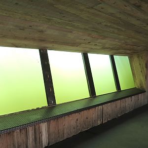 African Veldt - Hippopotamus Exhibit