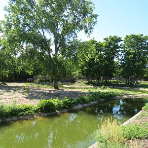 African Veldt - Grevy's Zebra Exhibit
