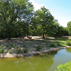 African Veldt - Slender-horned Gazelle and Warthog Exhibit