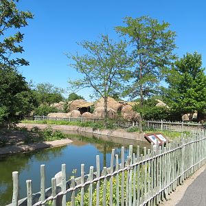 African Veldt - Slender-horned Gazelle and Warthog Exhibit