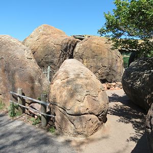 Pride of the Plains - Rocky Path