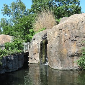 Pride of the Plains - African Lion Exhibit