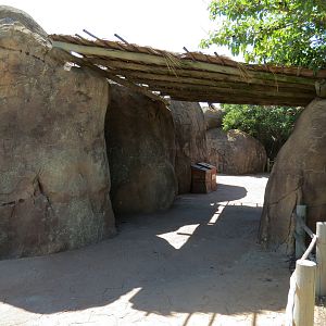 Pride of the Plains - Rocky Path