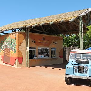 Elephants of the Zambezi River Valley - Baobab Cafe
