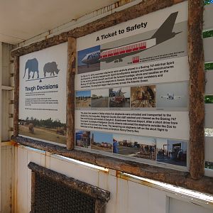 Elephants of the Zambezi River Valley - Crate Interpretive Exhibit