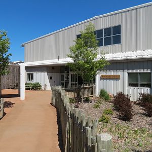 Elephants of the Zambezi River Valley - Barn