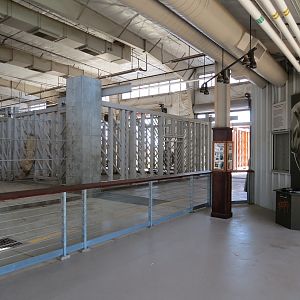 Elephants of the Zambezi River Valley - Barn