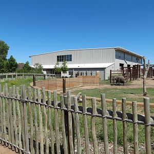 Elephants of the Zambezi River Valley - Yard 1