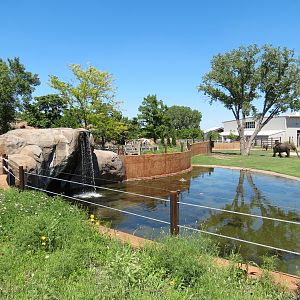Elephants of the Zambezi River Valley - Yard 1