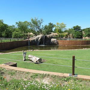 Elephants of the Zambezi River Valley - Yard 1