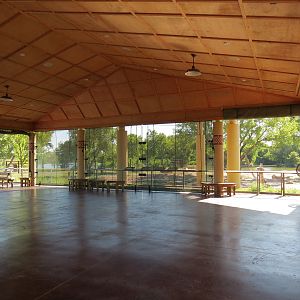 Elephants of the Zambezi River Valley - Camp Zambezi Viewing Shelter