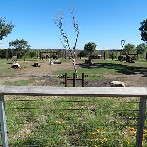 Elephants of the Zambezi River Valley - Yard 2