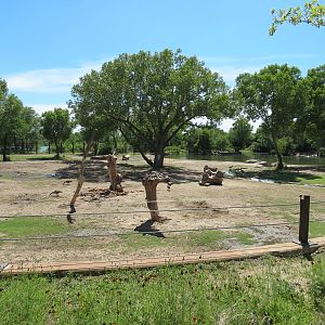 Elephants of the Zambezi River Valley - Yard 2