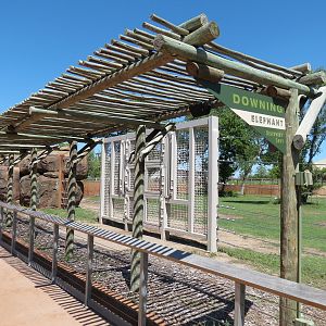 Elephants of the Zambezi River Valley - Yard 2