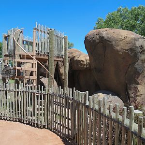 Elephants of the Zambezi River Valley - Yard 2