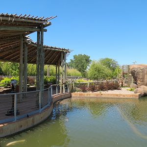 Elephants of the Zambezi River Valley - Yard 2