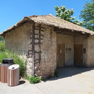 Gorilla Forest - Nganda Village