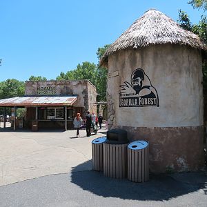 Gorilla Forest - Nganda Village