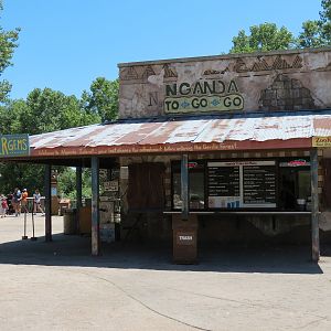 Gorilla Forest - Nganda Village