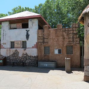 Gorilla Forest - Nganda Village