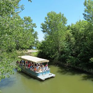Gorilla Forest - View of Boat Ride