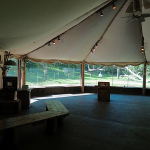 Gorilla Forest - Western Lowland Gorilla Exhibit - Viewing Area